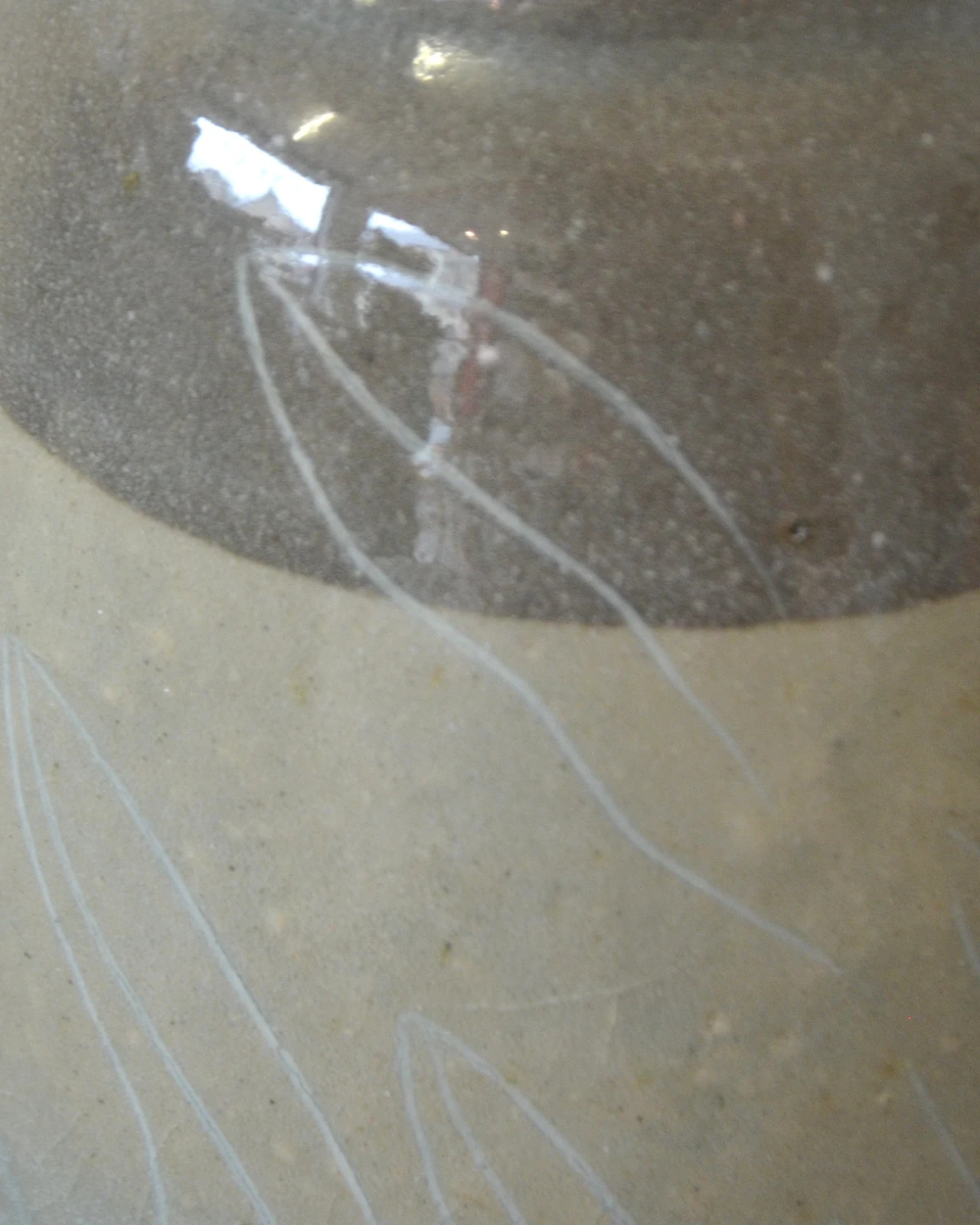 Le col d'un vase en grès, émail gris brillant au-dessus d'une terre crème gravée de feuillages.