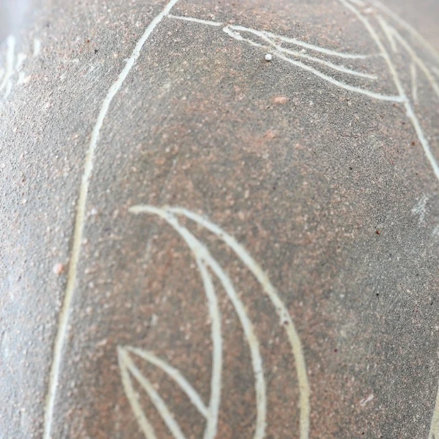 Gros plan sur la terre brune de la pièce aux feuillages, des feuilles gravées en blanc.