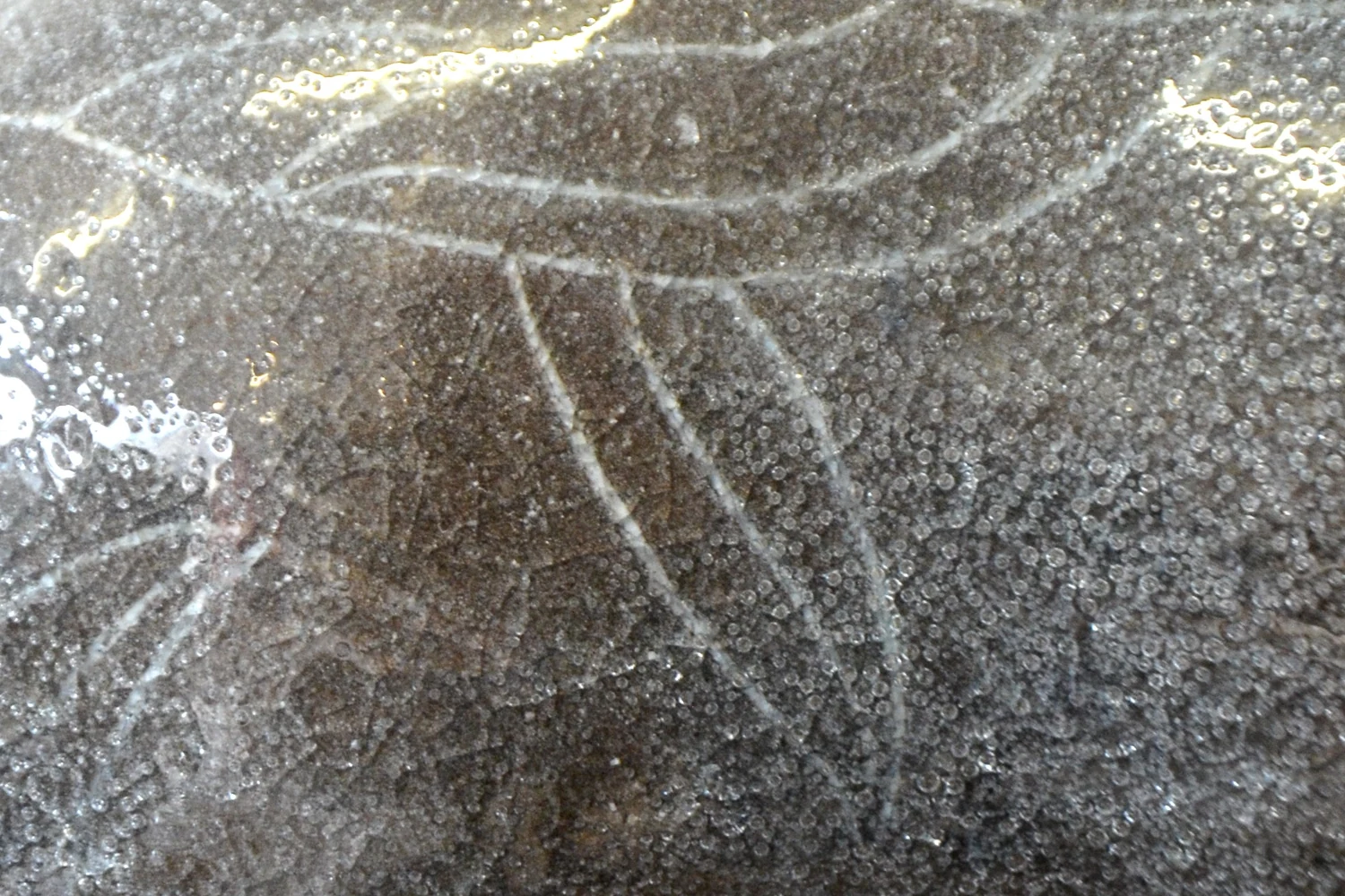 Gros plan sur l'émail gris brillant de la sculpture, des feuillages gravés en blanc sous la glaçure.