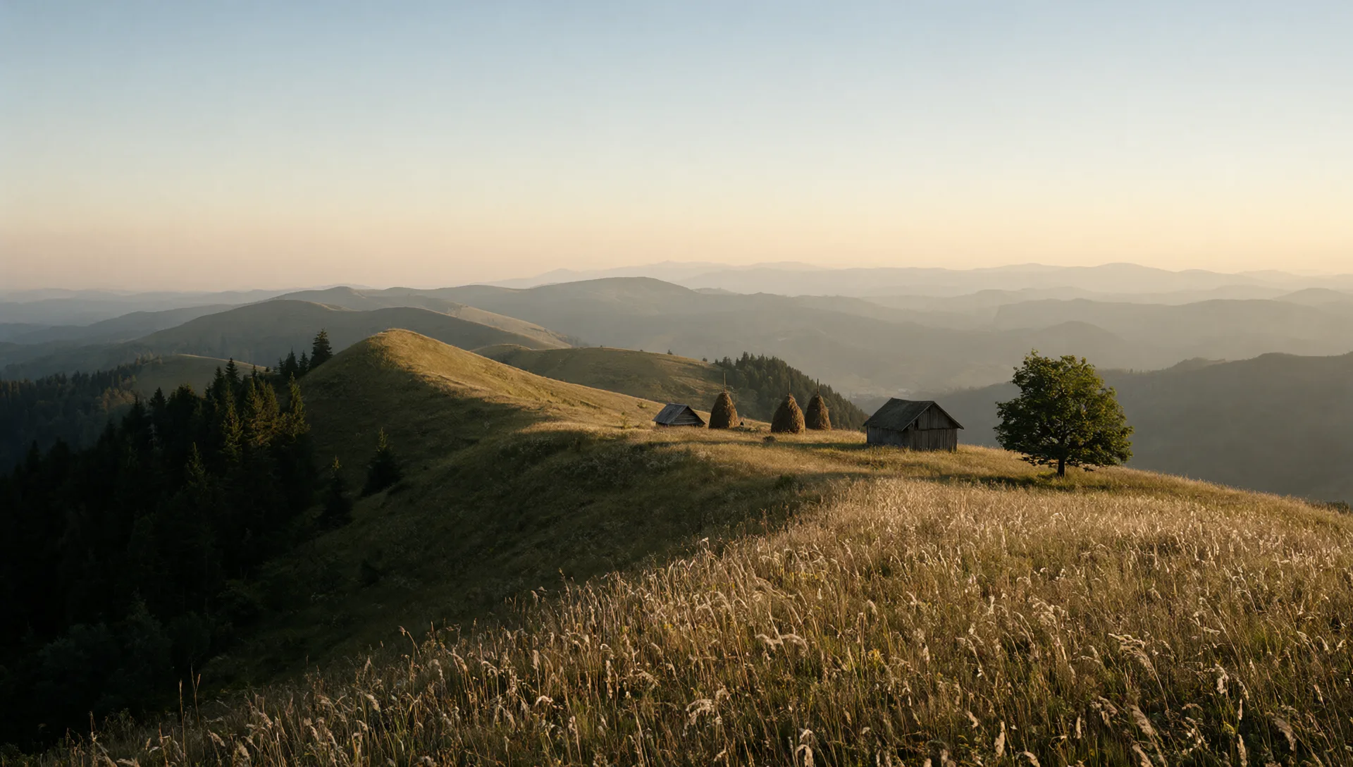 Une crête des Carpates au soleil couchant, des granges de bergers, des meules de foin et un chêne