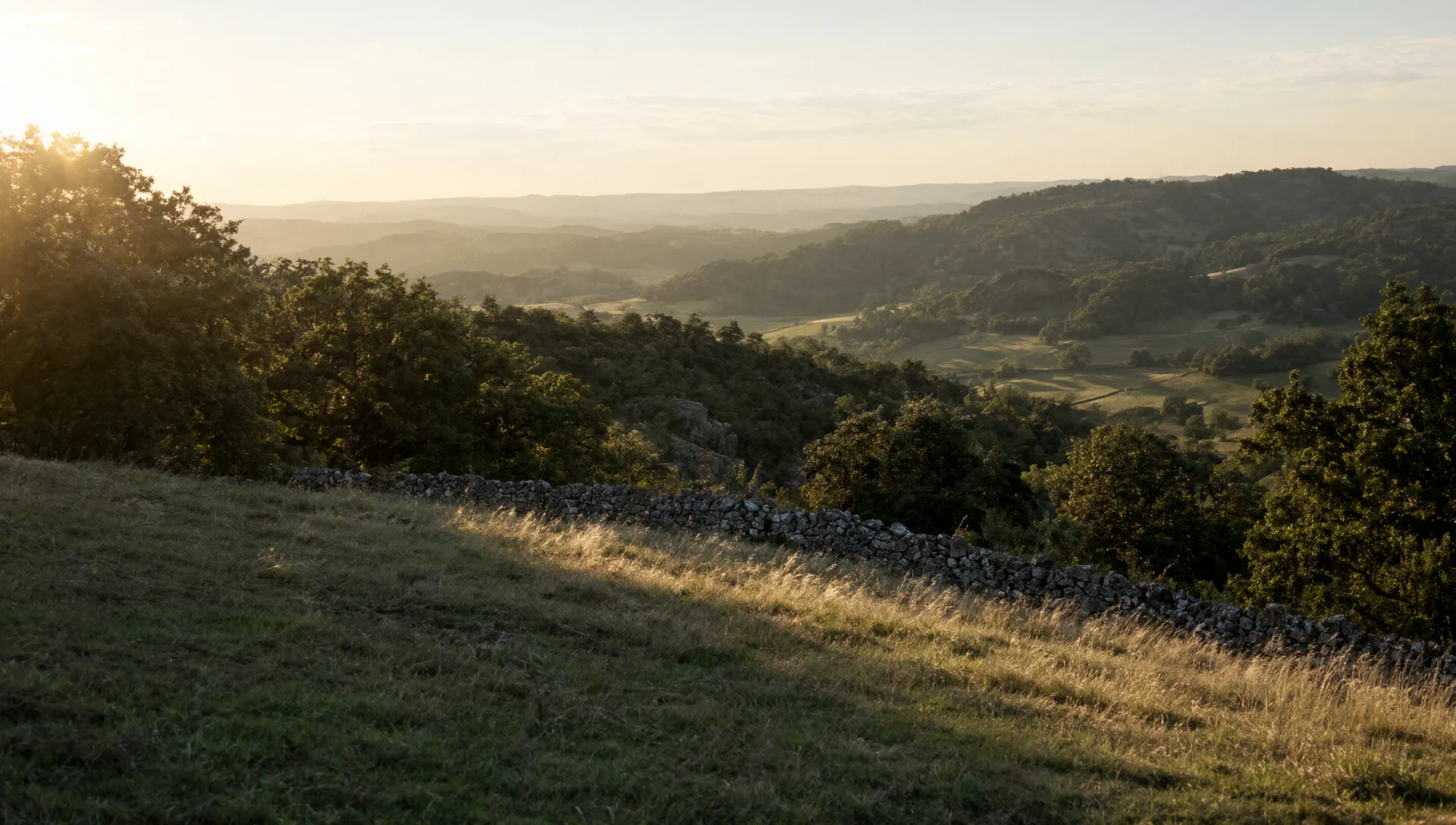 Une vallée du Limousin au soleil couchant, murets de pierre sèche, rochers de granit et chênes